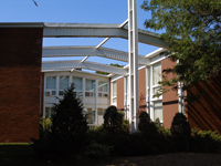 Courtyard garden